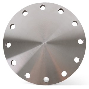 Smidd blindflens rustfri stål syrefast DN250 273 mm PN16 (EN1092-1/05A) kvalitet 1.4541 / 321